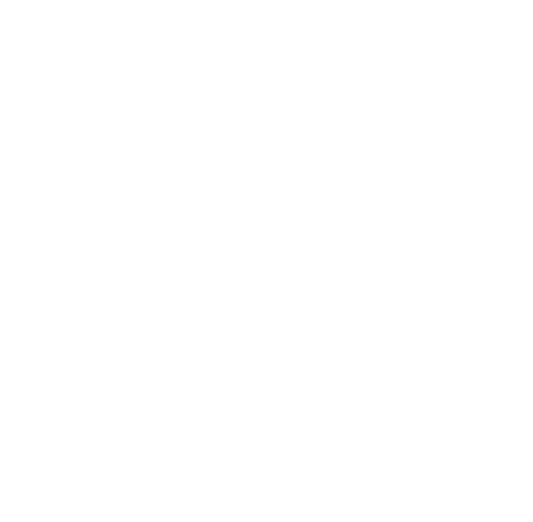 Linoskoczki Logo